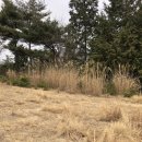 해미공인중개사사무소 이미지