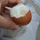 아침 이레 농장 | 시진핑도 핑이다