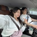 정은이발