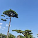 0626(금) 처음의 중요성 이미지