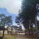 까치울마을4단지주차장 | 부여백제문화단지 능사 제향루 생활문화마을 황산벌전투상영 사비궁