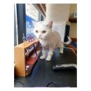 CU파주가재울로점