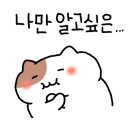 업돼지