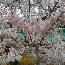 봉선e편한공인중개사사무소 이미지