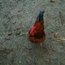 나산농장 이미지