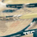 중화스쿼시 이미지