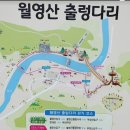 262차 금산 월영산과 출렁다리 이미지