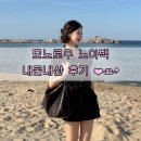 모노로우 노아백 내돈내산 후기! 초코브라운 컬러 실물, 수납력 장단점 솔직 리뷰 🤎