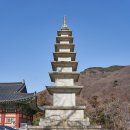 양산신-2011 | [금정구] 범어사(梵魚寺)