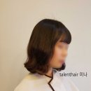 탤런트미용실 이미지