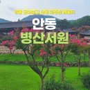 논개사당 관광안내소 | 안동 병산서원 배롱나무 산책, 유네스코 세계유산에서 즐기는 여유