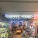 금호농업협동조합강남지점 | [서울]-강남역꽃집 추천 &lt;너에게꽃치다 강남역지점&gt;