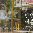 인생네꽃