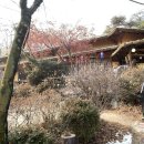 황금정원 | 도봉산역 맛집 황금정원 자연 속 쌈밥정식 후기