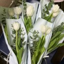 [11월 재능나눔] 파스텔화 | 11월 일상 / 졸업 선물 추천 / 더 제너레이션 매치 후기