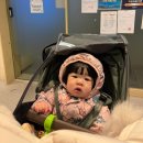 삼일목장 | 12개월 돌 아기 육아일기 | 자기주도이유식, 우유 적응기, 낯가림 해결책, 돌잔치