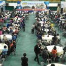 영일의원 이미지