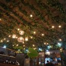 산호동131 이미지