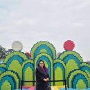 청계천로 이미지