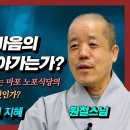 불광50주년 붓다빅퀘스천 ＜고전에서 배우는 삶의 지혜＞ 이미지