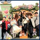 동광태권도 이미지