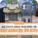 (유)대한민국만세복합물류 | 봉일천 숨길에서 맞는 광복 80주년