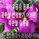 행정사김덕수 이미지
