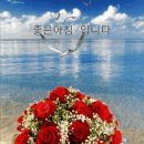 '이것' 마시면, 실명 위험 큰 황반변성 막아줘요 이미지