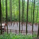 (주)이노항공여행사 투어코리아