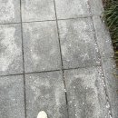 지상낙원 | 지상낙원