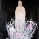 정성 가득 한글서예 이미지