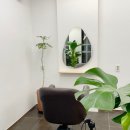 세렌디피티헤어