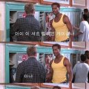 디비디글로벌 이미지