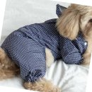 애견나라 이미지