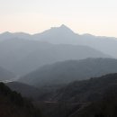 솔치농로 Daum카페