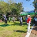 카멜리아 이미지