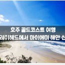 파라다이스 이미지