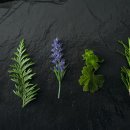 갤러리아의원 이미지