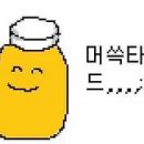 스테이 문릿 이미지