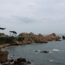 댕바우 이미지