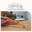 스피드덴탈 | 고양이 칫솔 추천 치석 구내염 증상 미리 관리해요 캣디피 덴탈칫솔ver1
