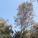 동평여자중학교 이미지