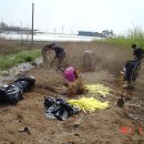 목화농원 이미지