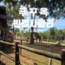 [푸꾸옥 여행] 빈펄 사파리 솔직 후기! 주트램, 기린식당, 사파리버스 꿀팁 총정리