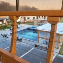 별빛애견 이미지