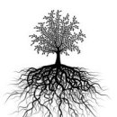 뿌리(Root) 기업