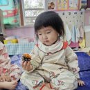 🥭망고반 10월 3주_놀이기록 (특성화: 솔방울 물감 놀이 ) 이미지
