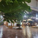 스파렉스 이미지