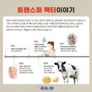 공지로 4L | [공지] 포라이프(4Life )트랜스퍼팩터 5년 복용 후기 – 감기 걱정 없는 비결 공개
