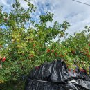 햇님농장 이미지